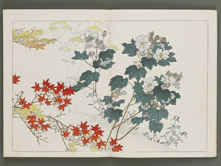 Nihon meiga kagami (Tokugawajidai no bu, Okyo gekan) by Maruyama Okyo / BJ319-851