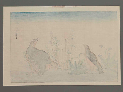 Quail and Skylark from the series Momotidori kyoka awase by Kitagawa Utamaro, (Large print size) / BJ248-710