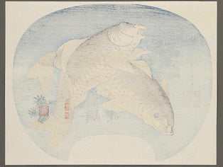 Koi by Katsushika Hokusai, (Medium print size) / BJ317-170
