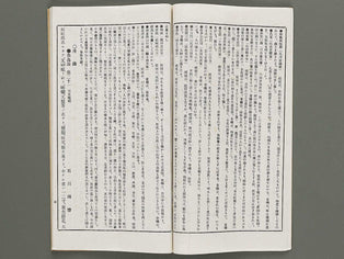 Kaiga soshi 162kan / BJ317-247