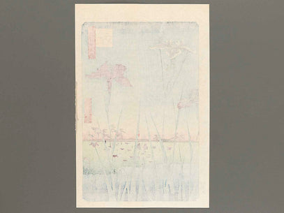 Horikiri Iris Garden from the series One Hundred Famous Views of Edo by Utagawa Hiroshige, (Large print size) / BJ307-146