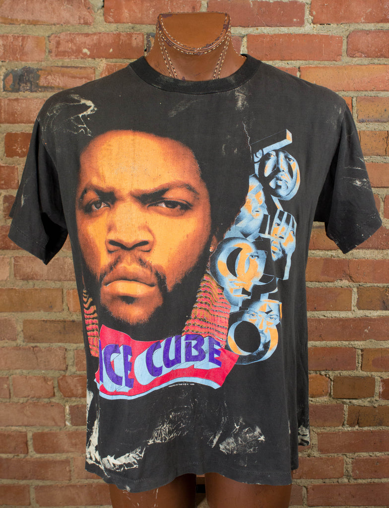 IceCube1995CustomDestroyedWhat