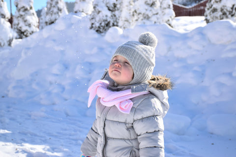 best snow stroller