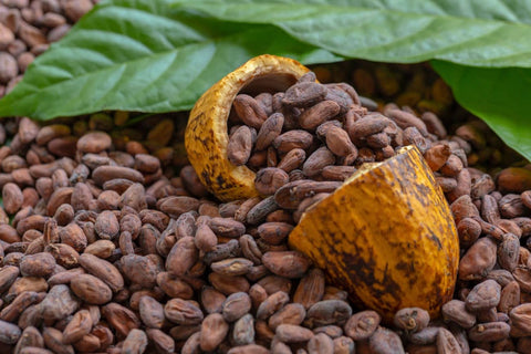 Cacao superfood