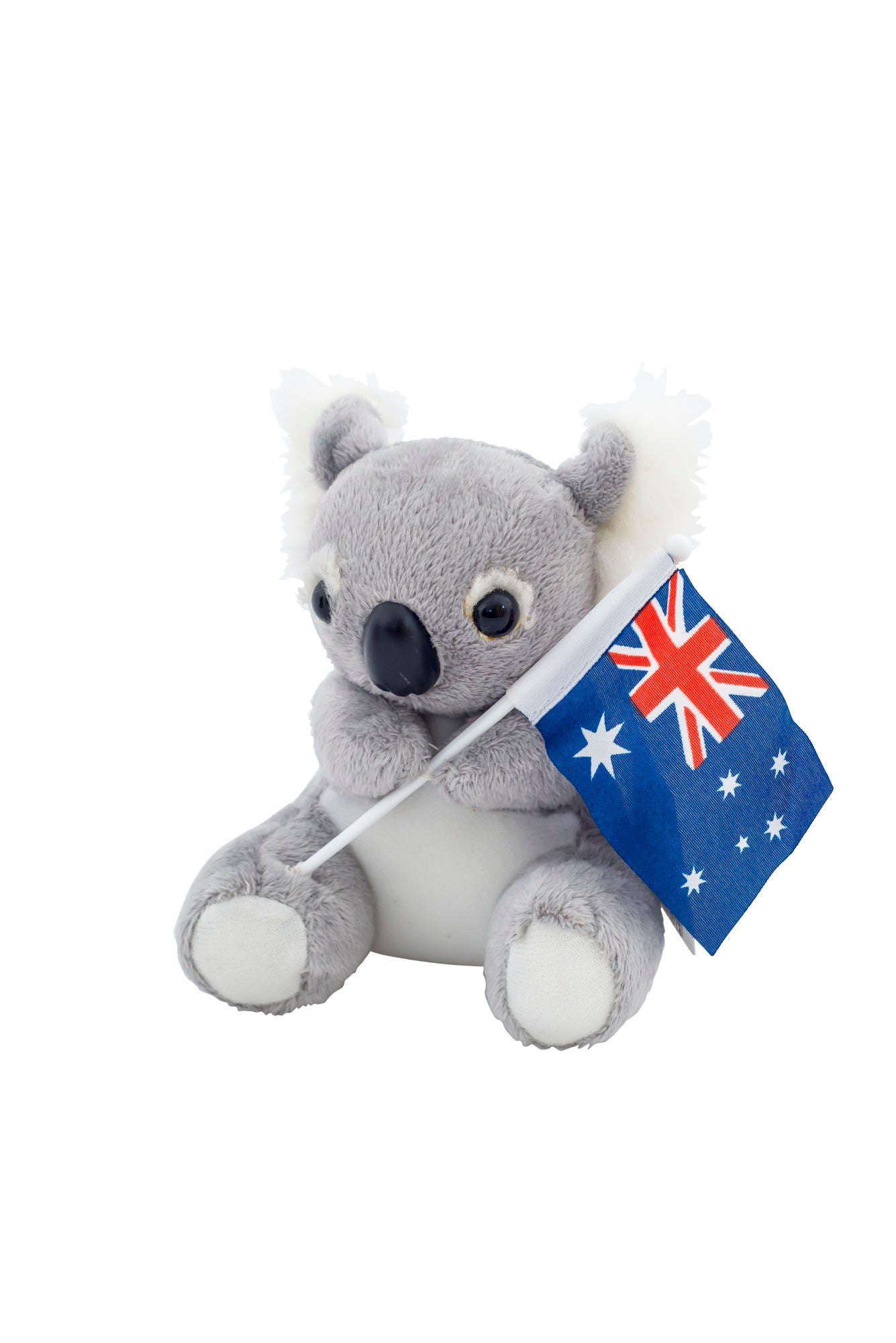 koala plushie