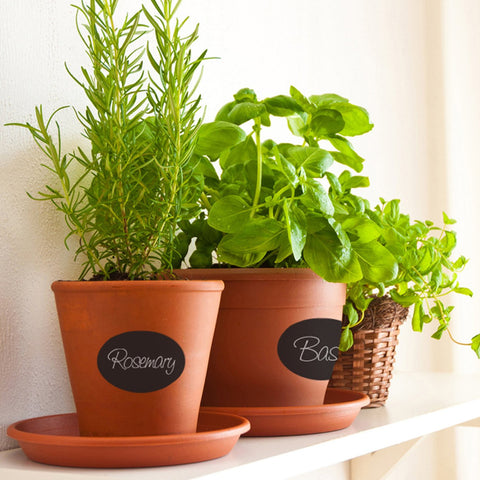 Chalkboard labels on terracotta herb pots.