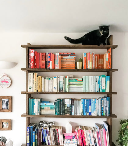 Rainbow bookshelves with a cat on top by Becky Pink from PinksCharming