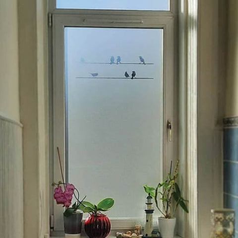A window decorated with frosted glass-effect window film with a design of birds sitting on telegraph wires