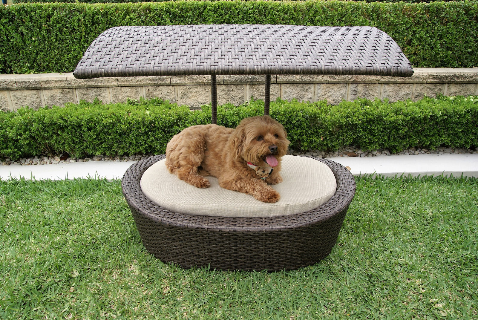 Wicker Pet Sun Bed with Hard Canopy – Corjo Enterprises