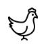 Chicken Icon