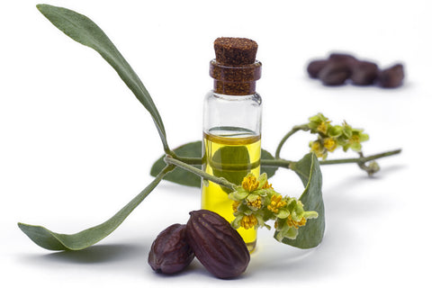 jojoba oil