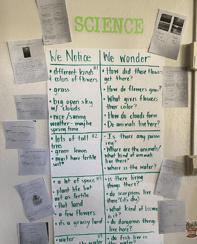 Science display on classroom wall.