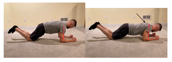 Modified Plank Serratus Anterior Push