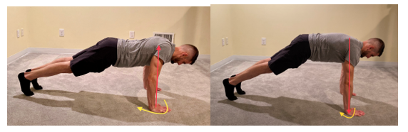 Top Plank Scapula Protraction and Retraction