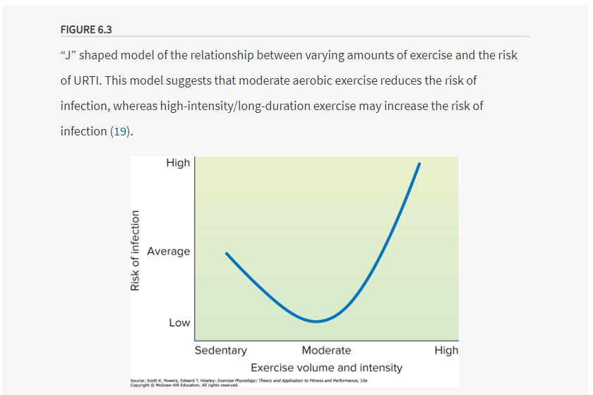 teh relationship between exercise and the immune system