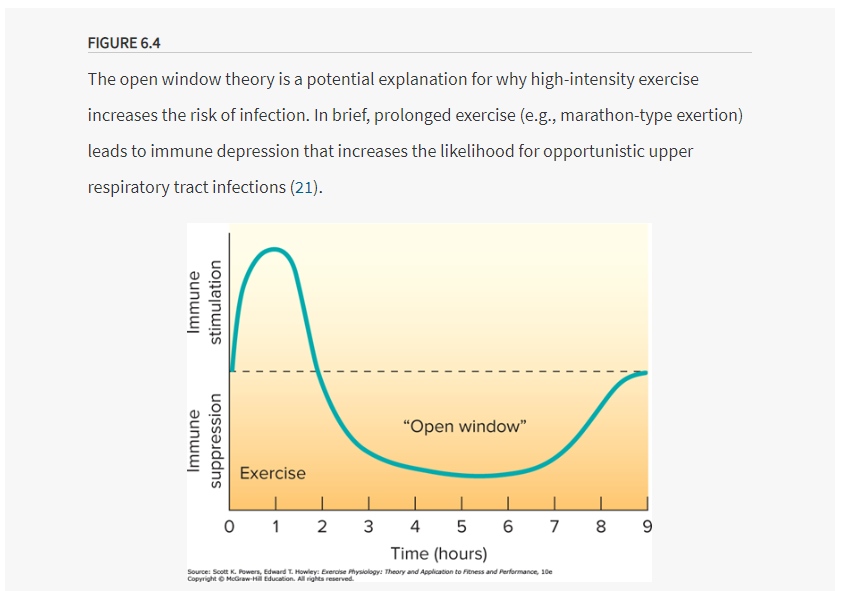 intense exercise decreases immune response