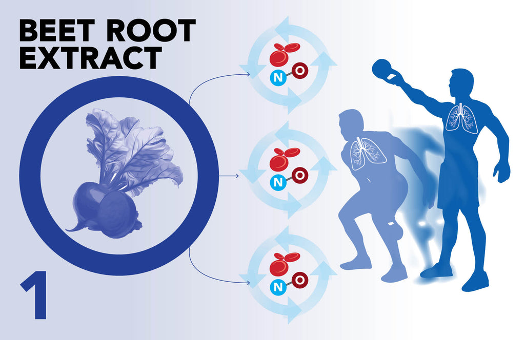 Beet Roote Extract
