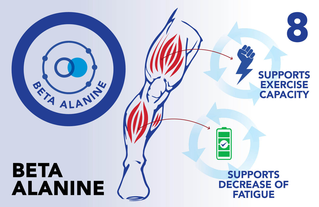 Beta Alanine