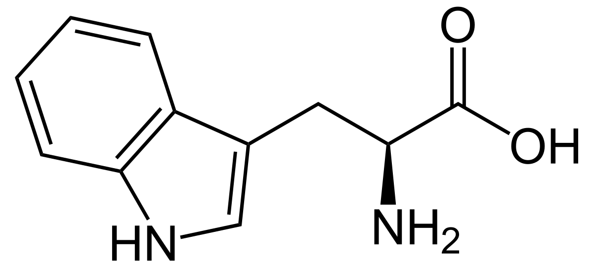 5-htp and tryptophan