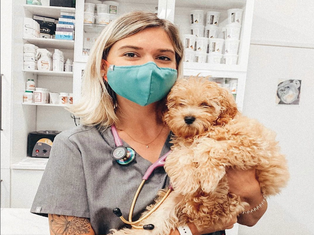 can unvaccinated puppies be around vaccinated dogs