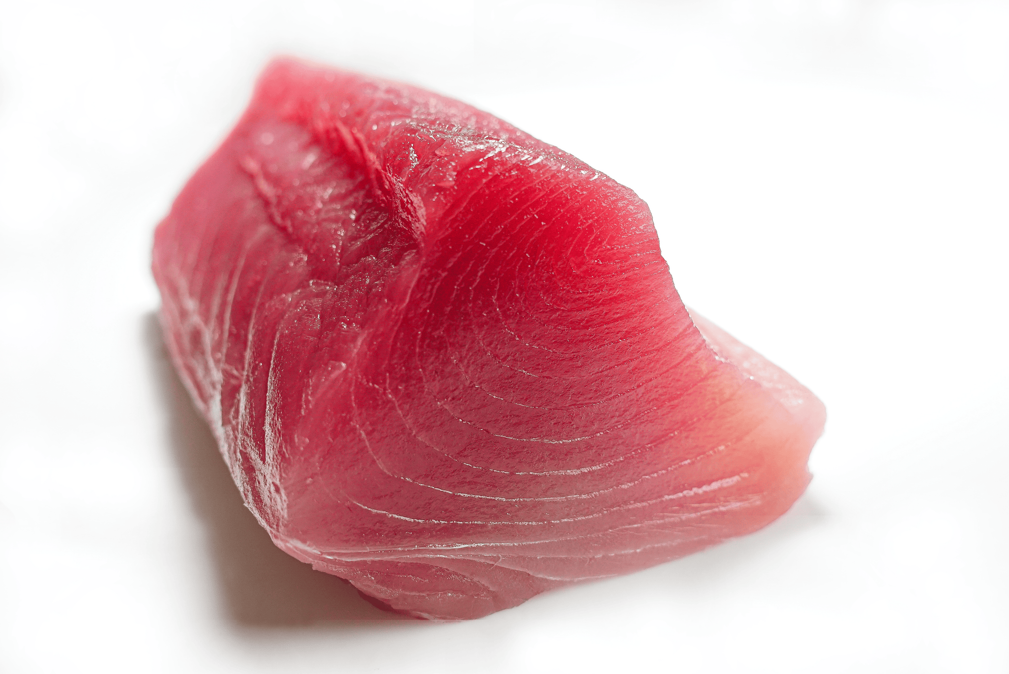 albacore sashimi