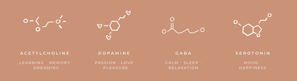 CHEMICAL SYMBOLS LOVE DOPAMINE GABA ACETYLCHOLINE SEROTONIN HANDMADE AUSTRALIAN SCIENCE LOVER PENDANT NECKLACES KELLECTIVE BY NIKKI