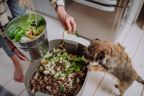 Woman putting vegetables into compost bin