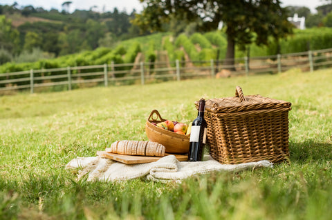 picnic set up in feild