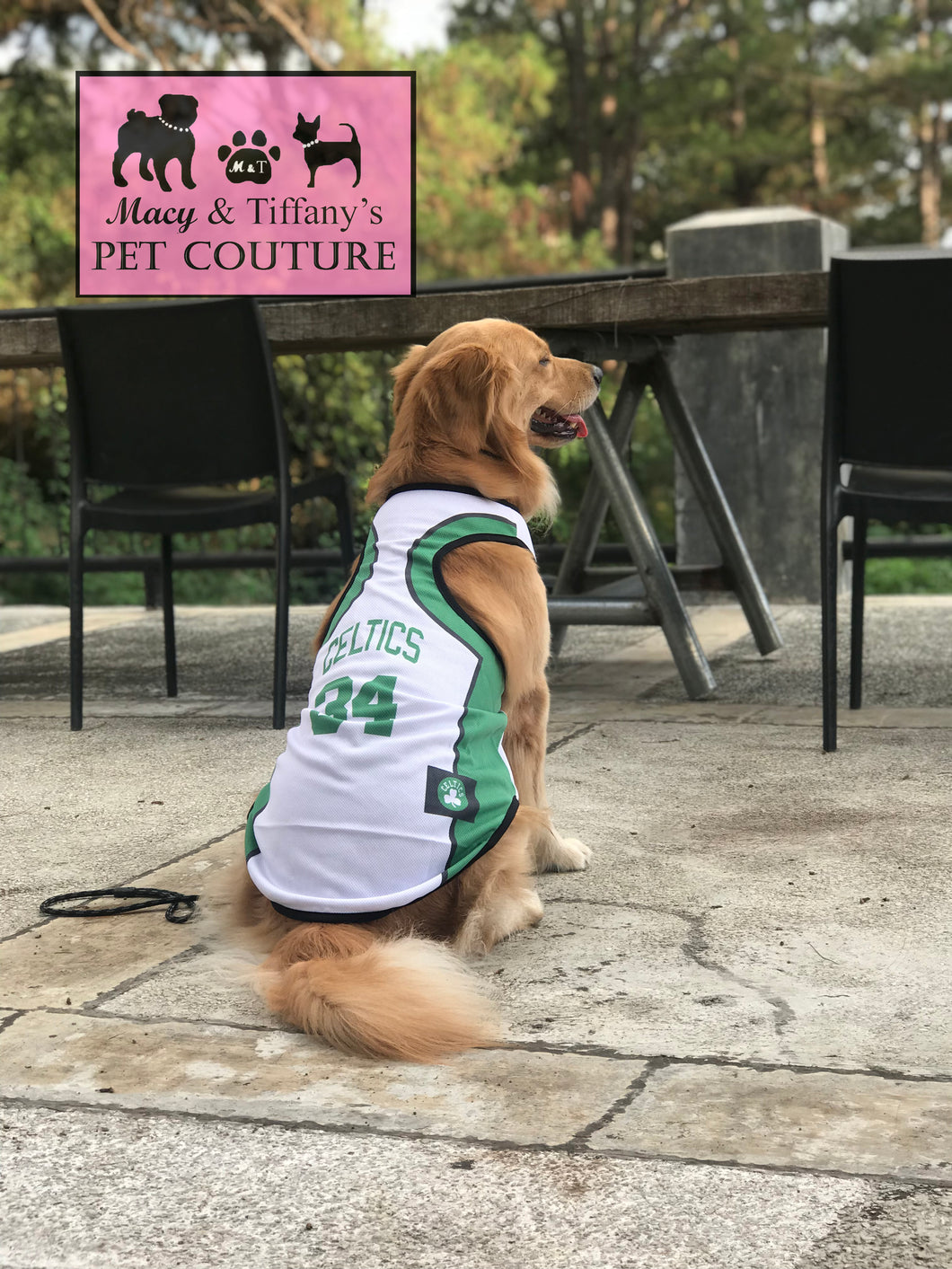 celtics dog jersey