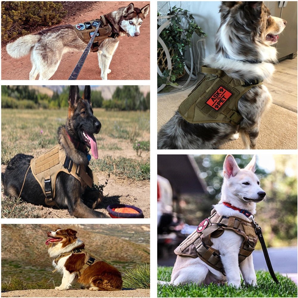 AlphaGuard K9 Harness - Military Overstock