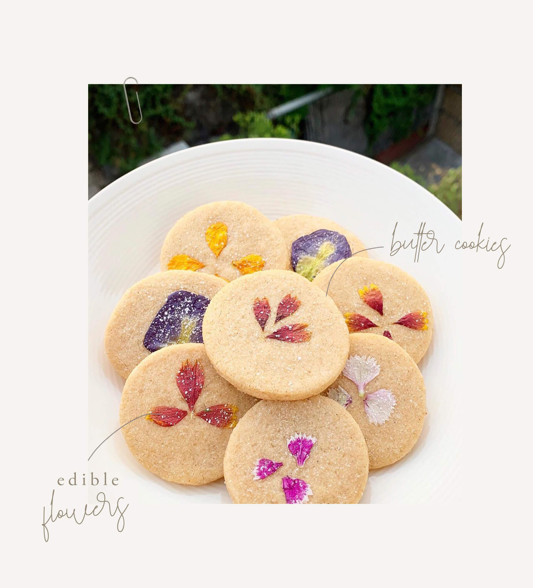 Buttery Cookies with Fresh Flowers