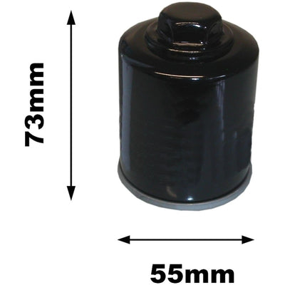 Malaguti R 125 Madison Oil Filter 2003-2007 Image 1