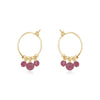 Hoop Earrings - Pink Tourmaline - 14K Gold Fill - Luna Tide Handmade Jewellery