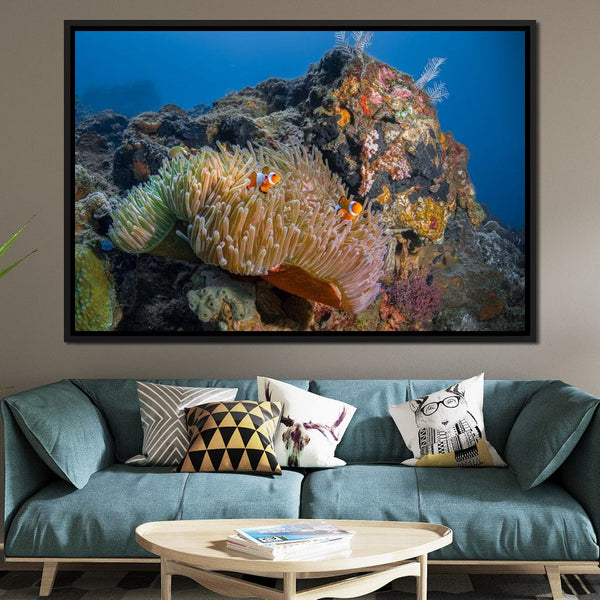 Anemone Fish on a Coral Reef - Terrie Gray | NicheCanvas