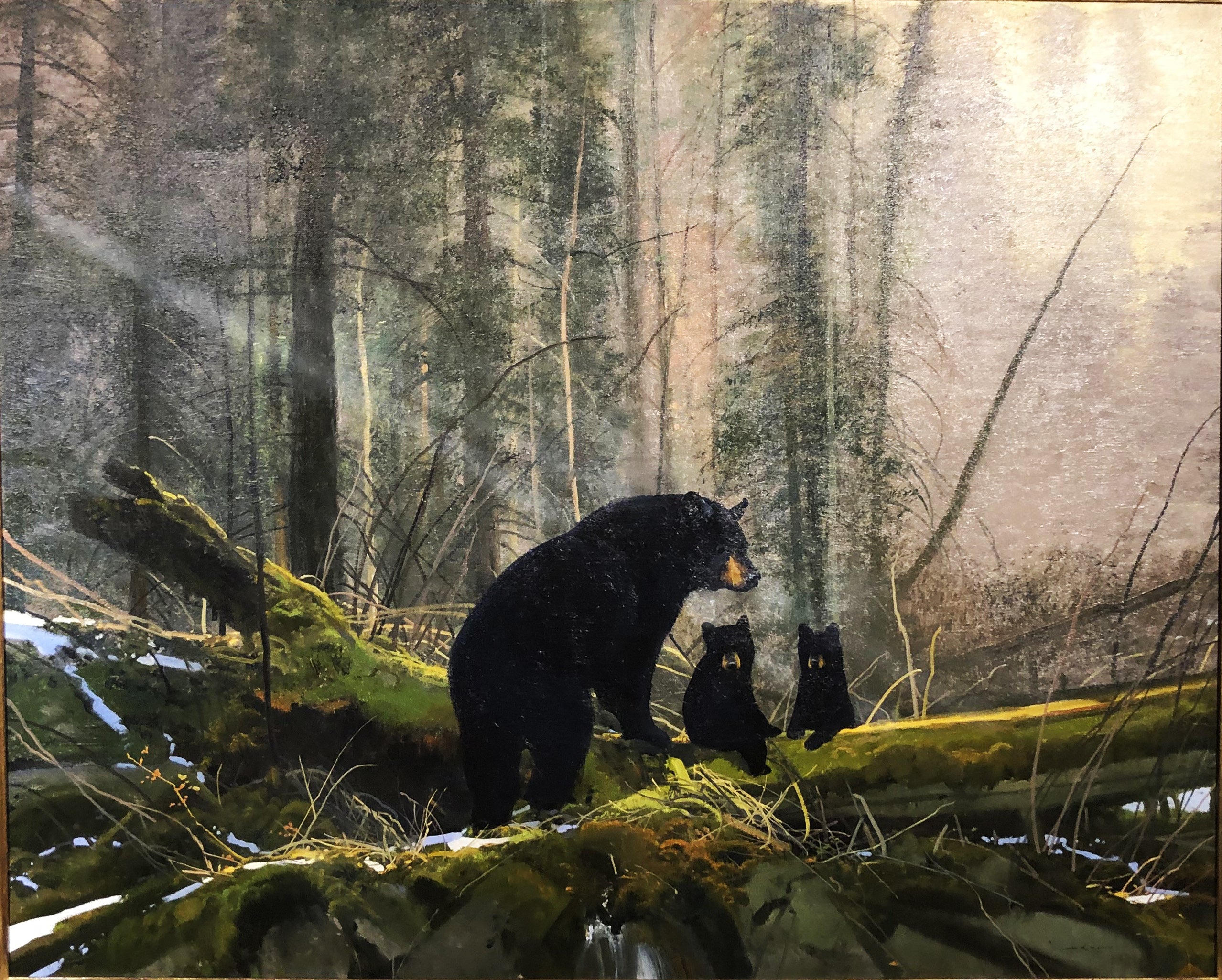 "Bears" by Michael Coleman