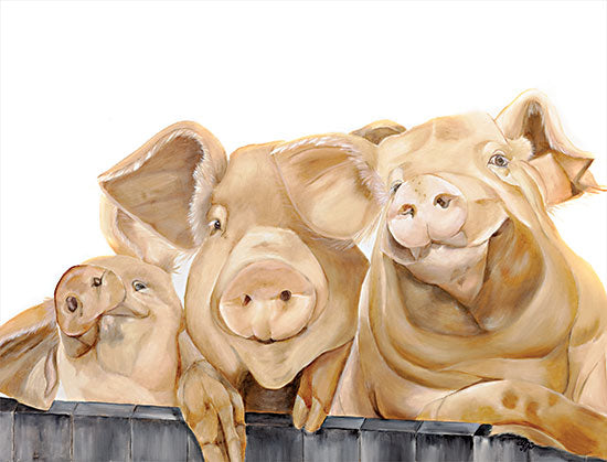 Diane Fifer DF153 - DF153 - Three Pigs - 16x12 Pigs, Farm Animals from Penny Lane