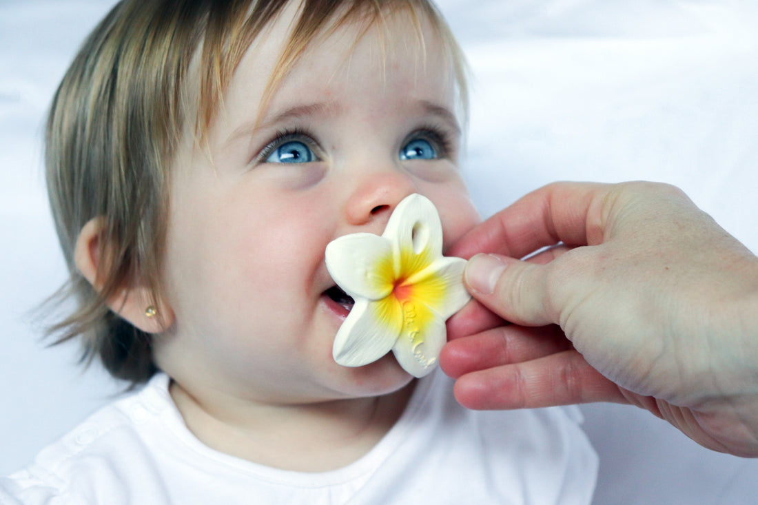 Hawaii la fleur de Tiaré de dentition Oli & Carol – Little Corte