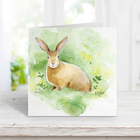 wild rabbit greeting cards