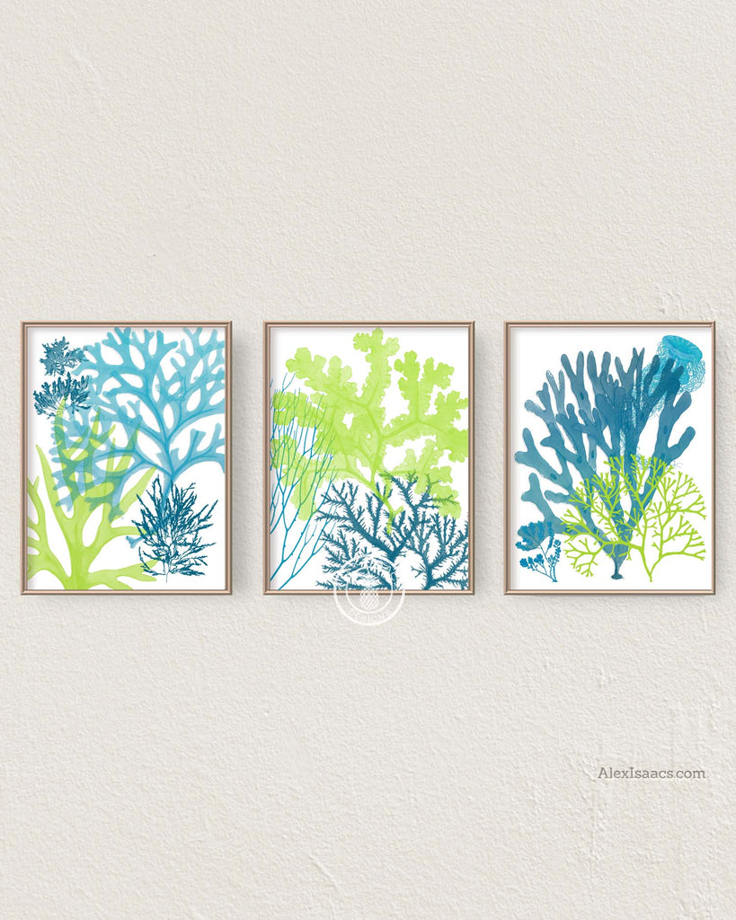Blue and Green Wall Art, Set of 3 Sea Algae Prints