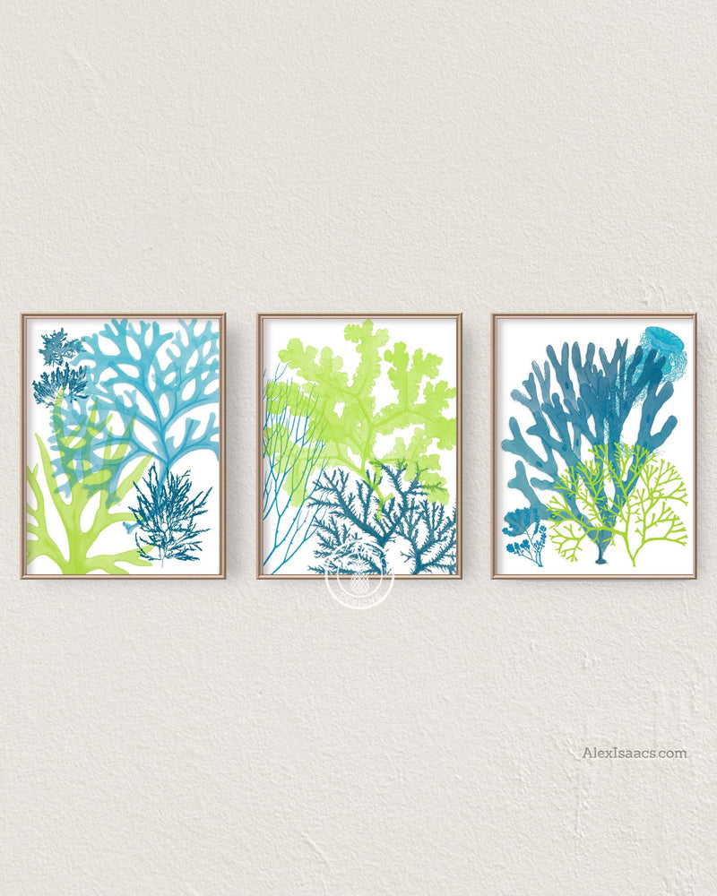 Indigo Blue Coral Prints, Art Set of 4