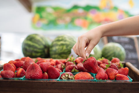hand picking fresh strawberry inside Penngrove Market