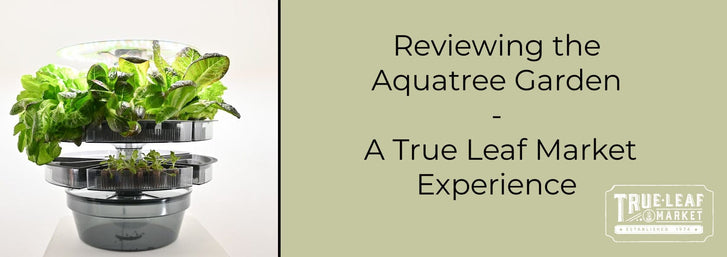 Reviewing the Aquatree Garden: A True Leaf Market ExperienceAquatree Garden Review Header "Reviewing the Aquatree Garden: A True Leaf Market Experience"