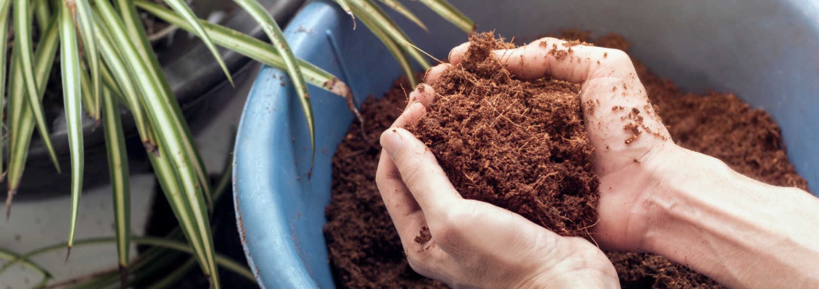 7 Peat Moss Alternatives That Are Better For The Planet - Farmers