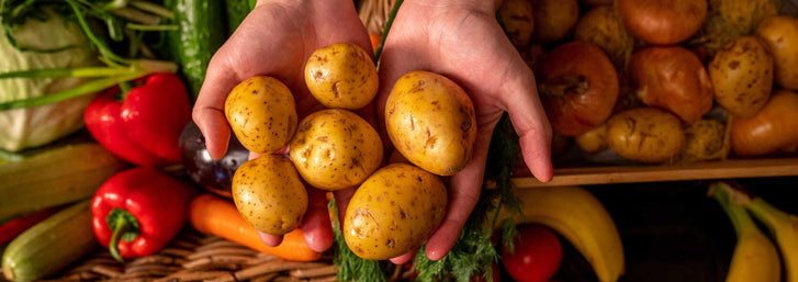 Alice Waters: Cultivating the Farm-To-Table MovementHands holding fresh potatoes with other vegetables on the table