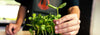 Holding a sunflower microgreen