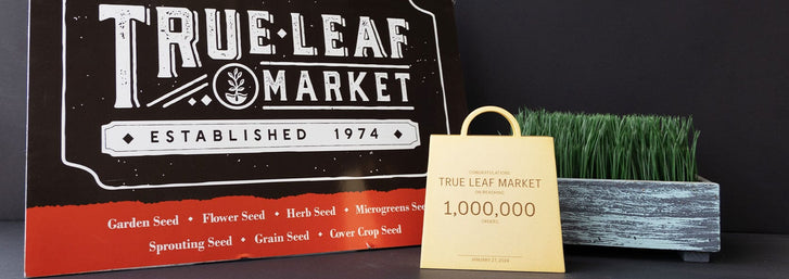 Celebrating 1,000,000 Orders1,000,000 orders award to True Leaf Market from Shopify