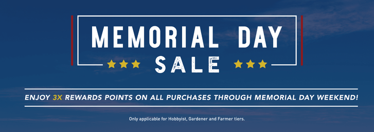 Memorial Day Exclusive: Triple Points on All Purchases!memorial day sale - triple rewards points on all purchases