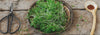 plate of watercress microgreens