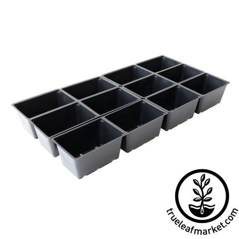 3x5-inch Tray Inserts (12)