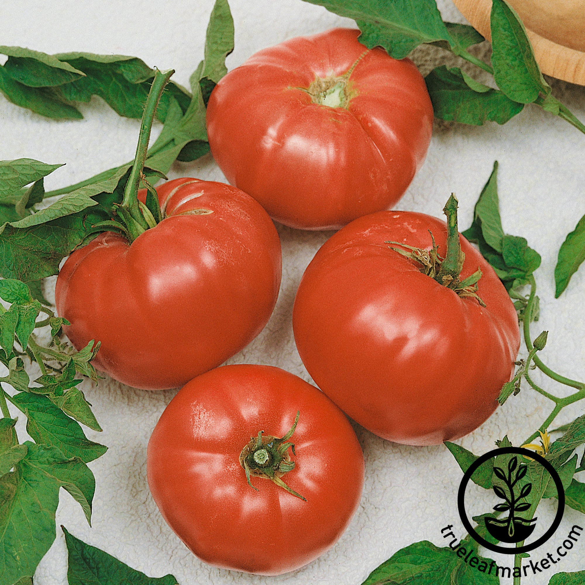 watermelon beefsteak tomato